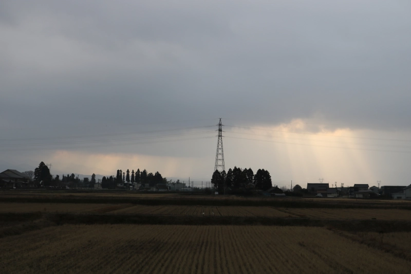 IMG_08253.JPG