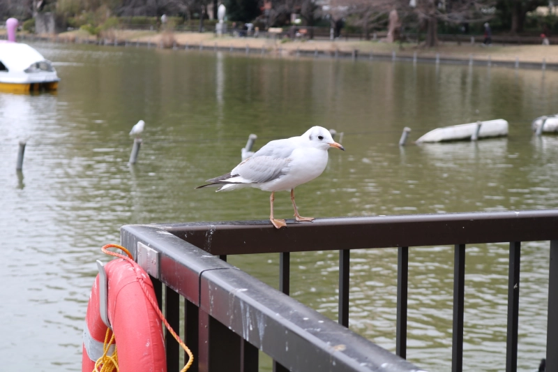 IMG_08699.JPG