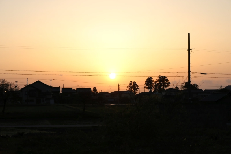 IMG_09078.JPG