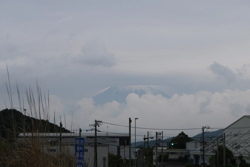 IMG_09613.JPG