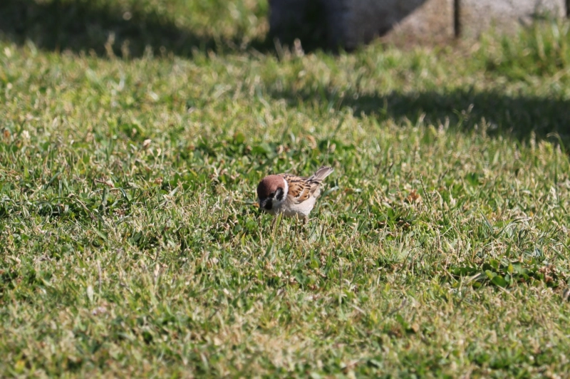 IMG_10026.JPG
