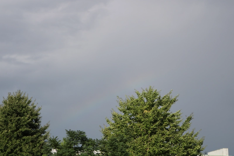 IMG_10476.JPG